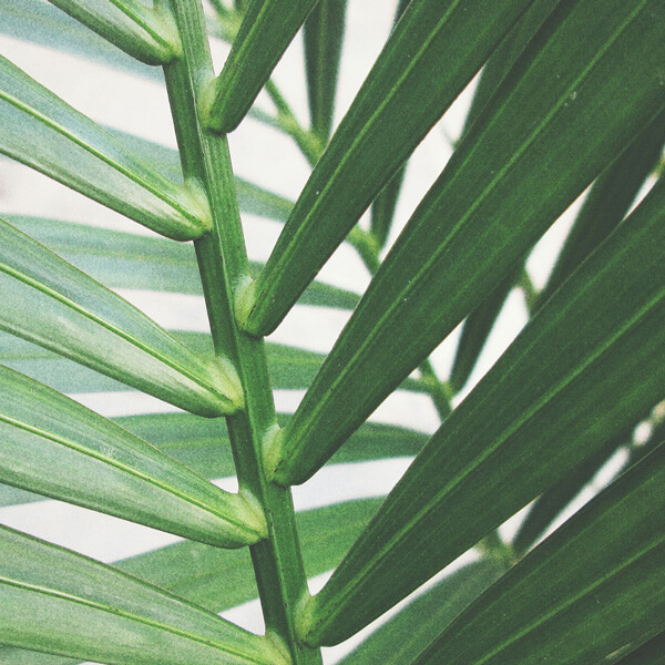 Carbon-neutral holiday experience — EnergyPro and Club & Hotel Letoonia